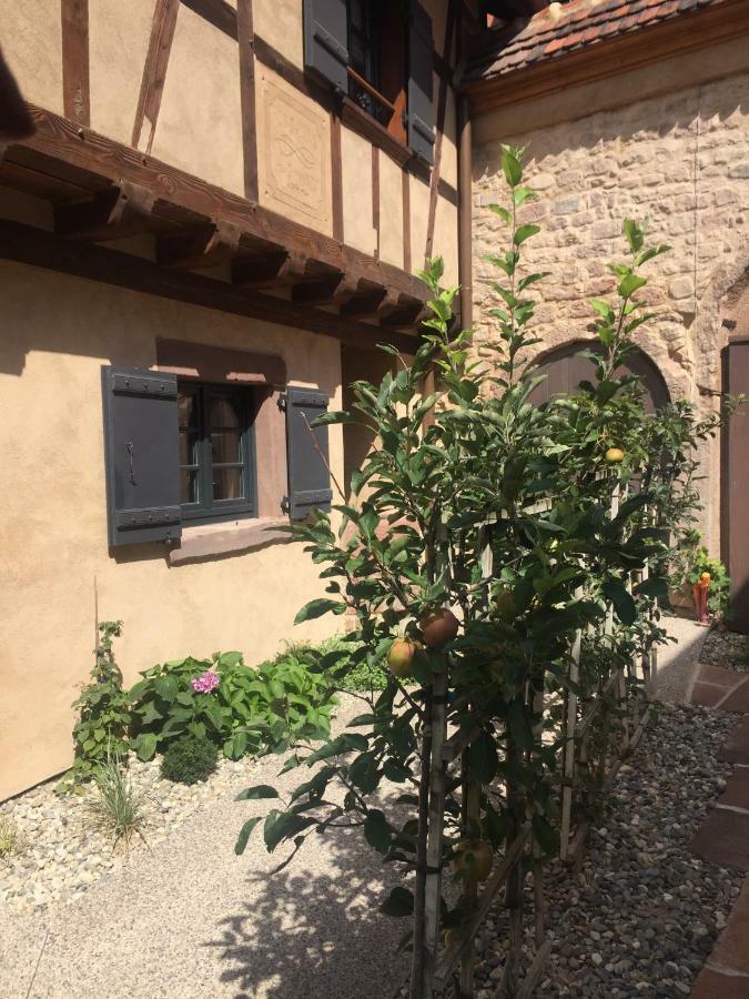 La Dependance D'Elisa Villa Epfig Exterior photo